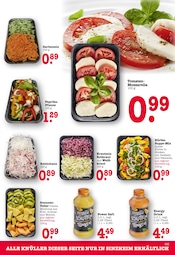 Aktueller E center Prospekt mit Garten, "Aktuelle Angebote", Seite 8