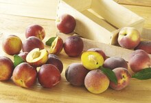 Nectarine jaune catégorie 1 calibre b - Casino Shop à Aix-en-Provence Nectarine jaune catégorie 1 calibre b en promo chez Casino Shop Aix-en-Provence à 2,49 €