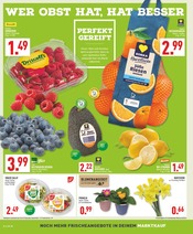 Garten im Marktkauf Prospekt in Warendorf Aktueller Marktkauf Prospekt mit Garten, "Aktuelle Angebote", Seite 2