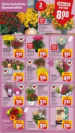 Kochtopf im REWE Prospekt Kochtopf im REWE Prospekt "Dein Markt" auf Seite 5