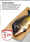 Frischer Karpfen im Angebot bei GLOBUS in Siegen Frischer Karpfen Angebote bei GLOBUS Siegen für 1,29 €