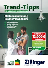 Bauzentrum Zillinger Prospekt für Osterhofen mit 10 Seiten Bauzentrum Zillinger Prospekt für Osterhofen: "Trend-Tipps für die energetische Sanierung", 10 Seiten, 17.10.2025 - 26.10.2025