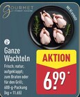 Ganze Wachteln von Gourmet Finest Cuisine im aktuellen ALDI Nord Prospekt für 6,99 €