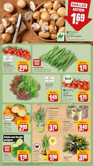 Gartenmöbel im REWE Prospekt "Dein Markt" mit 20 Seiten (Siegen (Universitätsstadt))