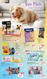 Rossmann Katzenfutter im Prospekt 