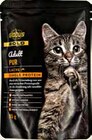 Aktuelles Katzennassfutter Angebot bei GLOBUS in Mannheim ab 0,77 €