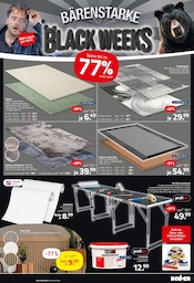 Aktueller ROLLER Prospekt mit Teppichboden, "BÄRENSTARKE BLACK WEEKS", Seite 13
