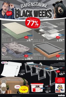 Farbe im ROLLER Prospekt "BÄRENSTARKE BLACK WEEKS" mit 18 Seiten (Koblenz)