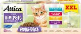 Katzennahrung Multipack Angebote von Attica bei Netto Marken-Discount Pirmasens für 9,99 €