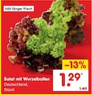 Salat mit Wurzelballen im Angebot bei Netto Marken-Discount in Salzgitter Salat mit Wurzelballen Angebote bei Netto Marken-Discount Salzgitter für 1,29 €