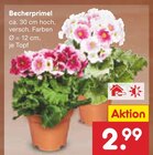 Becherprimel im aktuellen Netto Marken-Discount Prospekt