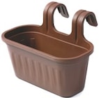 Blumenkasten hängend  im aktuellen Netto mit dem Scottie Prospekt für 3,99 €