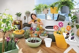 Pflanztopf oder Gartenstecker von GARDINO für 1,90 € bei Trends im Angebot Pflanztopf oder Gartenstecker von GARDINO im aktuellen Trends Prospekt