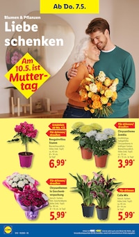 Blumen im Lidl Prospekt "LIDL LOHNT SICH" mit 73 Seiten (Jena)