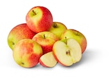 Aktuelle Äpfel Angebote bei Penny in Münster Aktuelles NATURGUT Deutsche Bio-Äpfel Angebot bei Penny in Münster ab 1,99 €