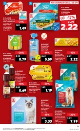 Aktueller Kaufland Prospekt mit Katzenstreu, "Aktuelle Angebote", Seite 13