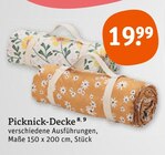 Aktuelles Picknick-Decke Angebot bei tegut in Jena ab 19,99 €