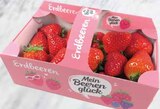 Niederländische Erdbeeren bei WEZ im Löhne Prospekt für 4,99 €