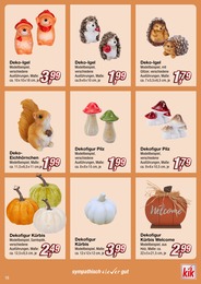 Pilze Angebot & Preis im aktuellen KiK Prospekt Pilze Angebot im aktuellen KiK Prospekt auf Seite 16