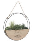 La Foir’Fouille Saint-Georges-des-Coteaux - Promo Plante à suspendre Promo Plante à suspendre à 19,99 € dans le catalogue La Foir’Fouille à Saint-Georges-des-Coteaux