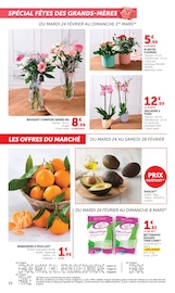 Plante Verte Angebote im Prospekt "Super U" von Super U Plante Verte Angebote im Prospekt "Super U" von Super U auf Seite 24