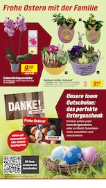 Blumentopf im toom Baumarkt Prospekt in Köln Aktueller toom Baumarkt Prospekt mit Blumentopf, "Respekt, wer's selber macht.", Seite 4