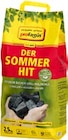 Aktuelle Briketts Angebote bei Hagebaumarkt in Hildesheim Aktuelles Grillholzkohle Der Sommer-Hit Angebot bei Hagebaumarkt in Hildesheim ab 6,49 €