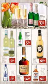 Beamer im nahkauf Prospekt in Wunstorf Aktueller nahkauf Prospekt mit Beamer, "nichts liegt näher", Seite 14