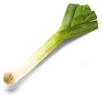 Aktuelles Lauch Angebot bei Netto Marken-Discount in Remscheid ab 1,00 €