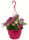 Sommerblumen-Ampel Angebote bei toom Baumarkt Villingen-Schwenningen für 8,99 €