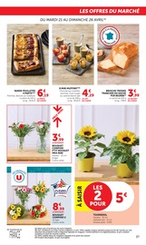 Plantes en promo dans le catalogue Super U à la page 37