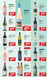 Rotwein im famila Nordost Prospekt in Celle Aktueller famila Nordost Prospekt mit Rotwein, "besser als gut!", Seite 13