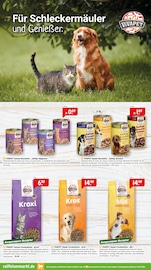 Aktueller Raiffeisenmarkt Prospekt mit Katzenfutter, "Glück beginnt im Napf!", Seite 2