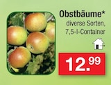 Obstbäume Angebote bei Zimmermann Nordhorn für 12,99 €