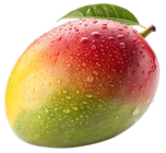 Kaufland Chüden - Peruan./brasil. Mango Angebot im Prospekt Peruan./brasil. Mango bei Kaufland im Chüden Prospekt für 0,79 €