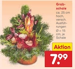 Grabschale im Netto Marken-Discount Prospekt Grabschale im aktuellen Netto Marken-Discount Prospekt für 7,99 €