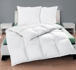 ZIRBENHOLZ-KASSETTENBETT im Angebot bei Wreesmann in Weimar ZIRBENHOLZ-KASSETTENBETT Angebote bei Wreesmann Weimar für 24,99 €