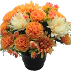 POT - OEILLETS ET CHRYSANTHÈMES - SANSMARQUE - Auchan Hypermarché à Courbevoie POT - OEILLETS ET CHRYSANTHÈMES - SANSMARQUE en promo chez Auchan Hypermarché Courbevoie à 18,99 €