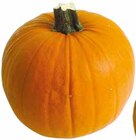 Deutschland Kinderhalloween Kürbis Angebote bei EDEKA Ahaus für 2,22 €