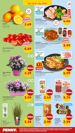 Hähnchenschenkel Angebot im aktuellen Penny Prospekt auf Seite 28