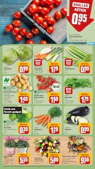 Pflanzen im REWE Prospekt "Dein Markt" mit 16 Seiten (Freiburg (Breisgau))