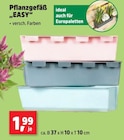 Aktuelles Pflanzgefäß „EASY“ Angebot bei Thomas Philipps in Cottbus ab 1,99 €