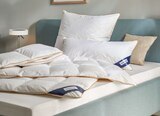 Aktuelle Bettdecke Angebote bei Höffner in Paderborn Aktuelles 3-Kammer-Kopfkissen Island ca. 80 x 80 cm Angebot bei Höffner in Paderborn ab 49,99 €