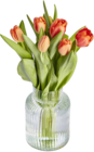 Herbsttulpen im Angebot bei E center in Nürtingen Herbsttulpen Angebote bei E center Nürtingen für 3,49 €