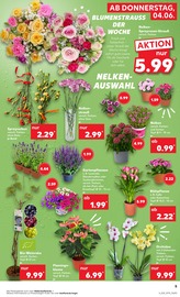 Aktueller Kaufland Prospekt mit Blumen, "Hier bin ich richtig", Seite 12