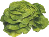 Kopfsalat im V-Markt Prospekt Kopfsalat im aktuellen V-Markt Prospekt für 1,19 €