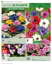 Fleurs Angebote im Prospekt "JARDIN LÀ OÙ LA VIE SE CULTIVE" von Carrefour Fleurs Angebote im Prospekt "JARDIN LÀ OÙ LA VIE SE CULTIVE" von Carrefour auf Seite 6