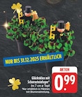 EDEKA Mittelbach - Glücksklee mit Schornsteinfeger Angebot im Prospekt Glücksklee mit Schornsteinfeger bei EDEKA im Mittelbach Prospekt für 0,99 €