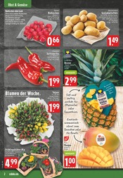 Tulpen im EDEKA Prospekt in Menden Aktueller EDEKA Prospekt mit Tulpen, "Aktuelle Angebote", Seite 4