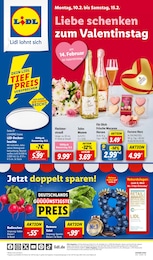 Lidl Prospekt für Dinkelsbühl mit 59 Seiten Lidl Prospekt für Dinkelsbühl: "LIDL LOHNT SICH", 59 Seiten, 10.02.2025 - 15.02.2025